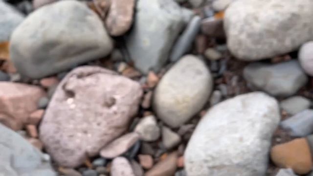 I wanted an agate hunting redemption... HUGE find! смотреть онлайн