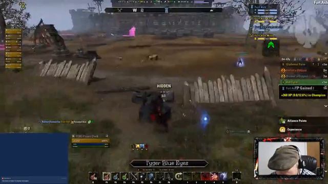 Tyger's Low-Rez Gaming: Elder Scrolls Online (PC NA)