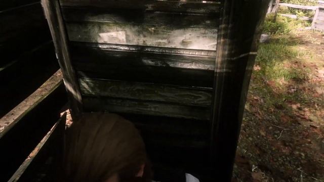Hidden Butcher Creek Numbers RDR2 смотреть онлайн