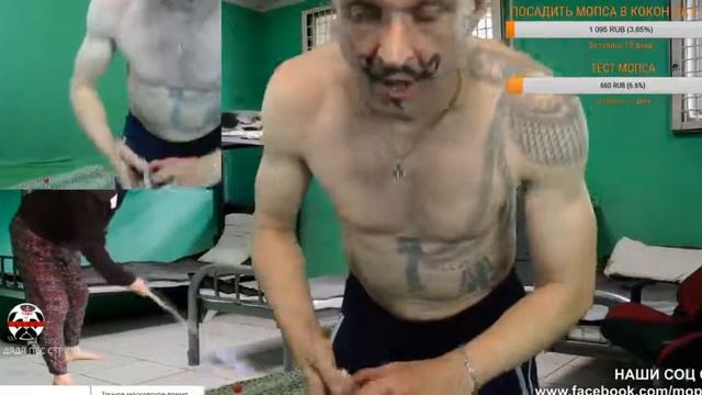 ЖЕСТЬ НА СТРИМЕ-- АНДРЕЙ ЗАБИЛ МОПСА И ДРУГА РОСТИКА смотреть онлайн