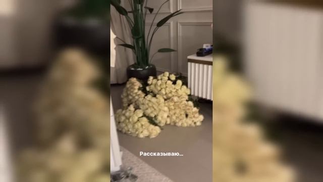 Валя споёт с Долиной / Амина сестра Лизы Анохиной? / Инстасамка не любит обниматься смотреть онлайн