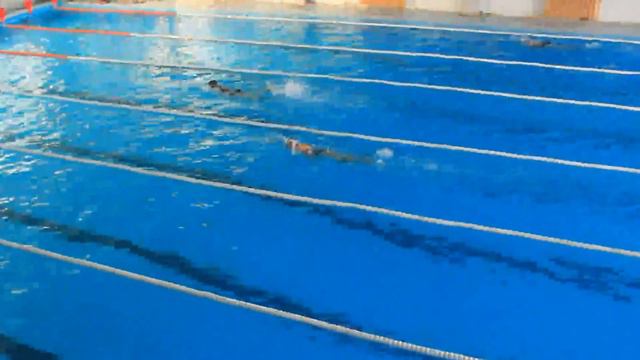 Заплыв 100 метров, вольный стиль. Девочки. смотреть онлайн