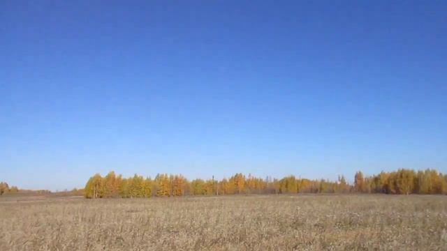 охота на косулю с видеокамерой от первого лица смотреть онлайн