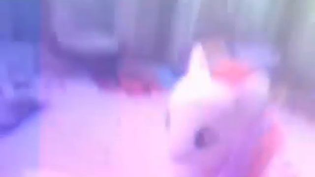 Пони-Лава смотреть всем! смотреть онлайн