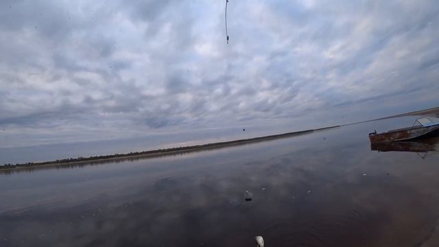 Хороший клев плотвы на донку. Рыбачим на реке. смотреть онлайн