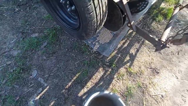 🚜Трактор Т-40 АМ і сівалка МР агро 2.4(налаштування норми висіву і посів гороху)🇺🇦 смотреть онлайн
