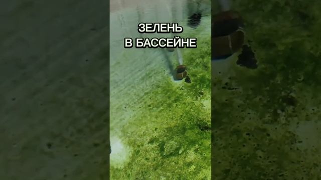Почему бассейн в УЗВ зеленеет смотреть онлайн