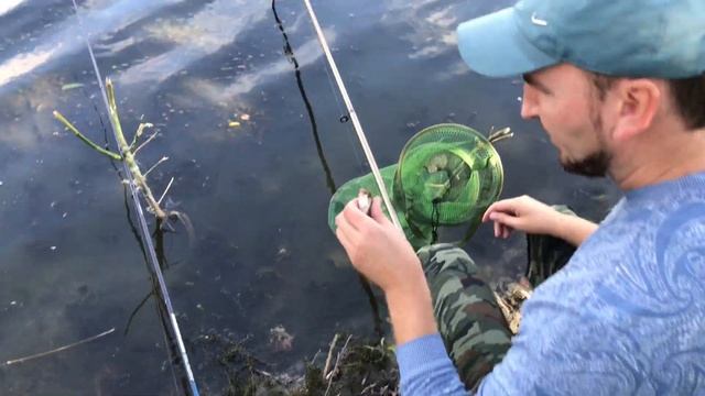 РЫБАЛКА НА КАРАСЯ Как в Детстве! Красивая Ловля Карася Осенью на реке! смотреть онлайн