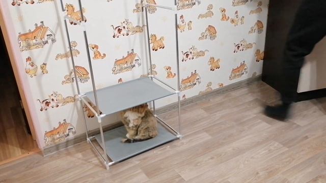 Сделали полную перестановку во всем доме. Наша комната, организация пространства и хранение вещей.