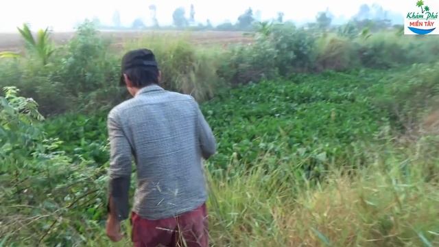 54 | Cắm câu cá lóc ở địa điểm mới P2 | Fishing смотреть онлайн