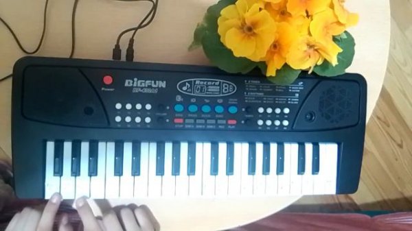 Я играю на синтезаторе #азербайджан #баку🇦🇿🇦🇿🇦🇿 #синтезатор