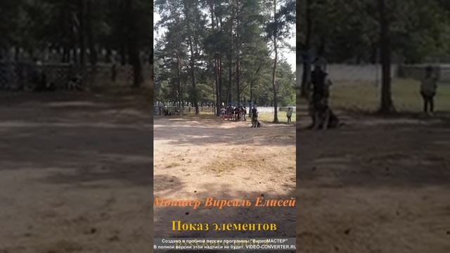 Чемпионат ВЕО. 2017 Беларусь. Показательные элементы Русского ринга. смотреть онлайн