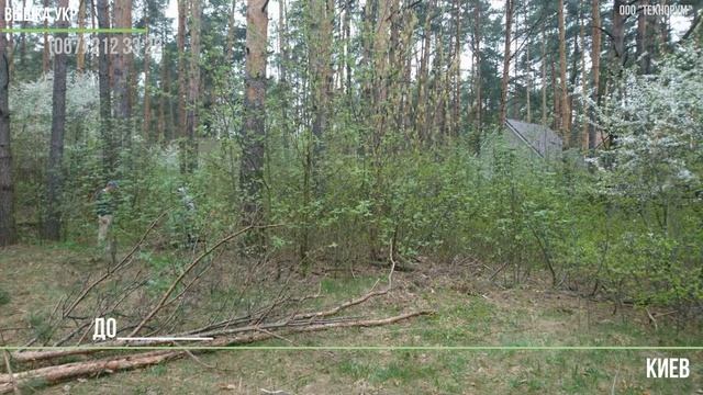 Расчистка участка смотреть онлайн