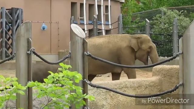 Отпуск в Москве / В гостях у Кати и Димы/три богатыря и я смотреть онлайн