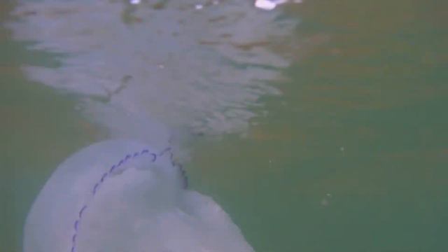 06,092021 ПРИЕЗД смотреть онлайн