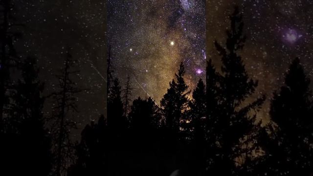 Всемирный день сновидений!