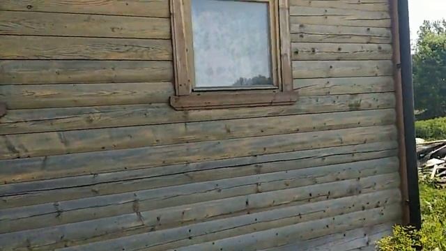 Покраска бани кроющим антисептиком Vinha Tikkurila