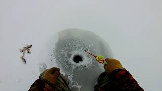 В поисках клёва.mp4 смотреть онлайн