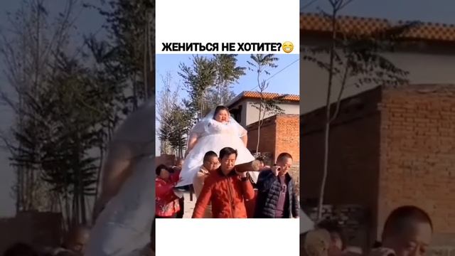 Сюрприз? Подпишись✅ #юмор #приколы #невеста #жирная #тащат смотреть онлайн
