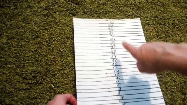 DIY новогодний календарь|Страна Мастеров смотреть онлайн