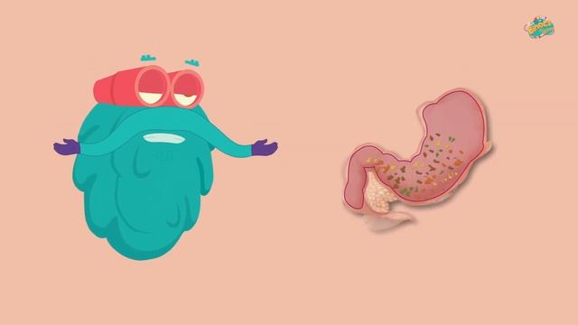 डायजेस्टिव सिस्टम | पाचन तंत्र | Digestive System In Hindi | Dr.Binocs Show | Best Videos For Kids смотреть онлайн