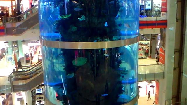 Москва. Крупнейший аквариум в торговом центре. Подписывайтесь. Huge aquarium. смотреть онлайн