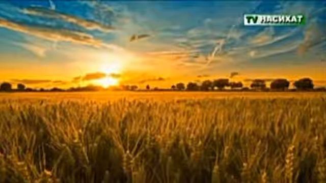 Мощнейшая притча смотреть онлайн