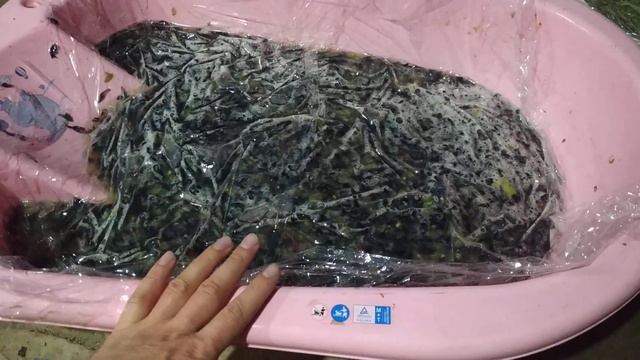 Простое решение при защите сусла от окисления смотреть онлайн