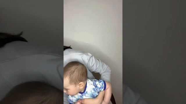 Обзор детских бутылочек для питания смотреть онлайн