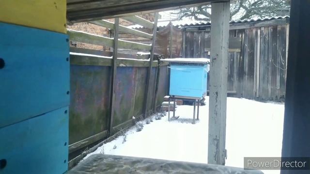 Малоформатные улья. Февраль-23 смотреть онлайн