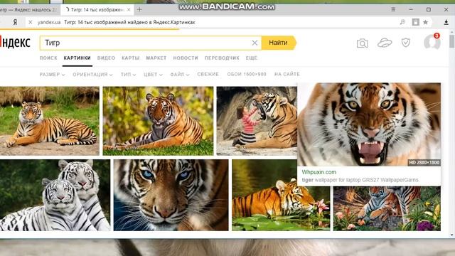 Меняем обои на виндовс 10 на комп'ютаре!!!!!!!!!! смотреть онлайн