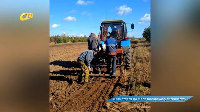 В ЖЕЛЕЗНОГОРСКЕ ВЫСАДИЛИ 1800 ДЕРЕВЬЕВ смотреть онлайн