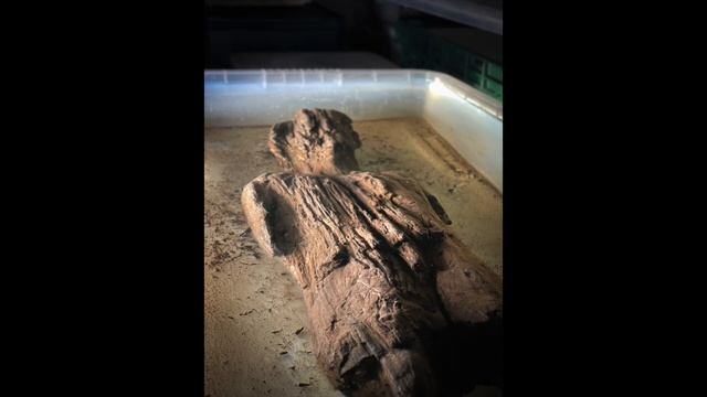 Really Old News: The First Archaeological Discoveries of 2022! смотреть онлайн