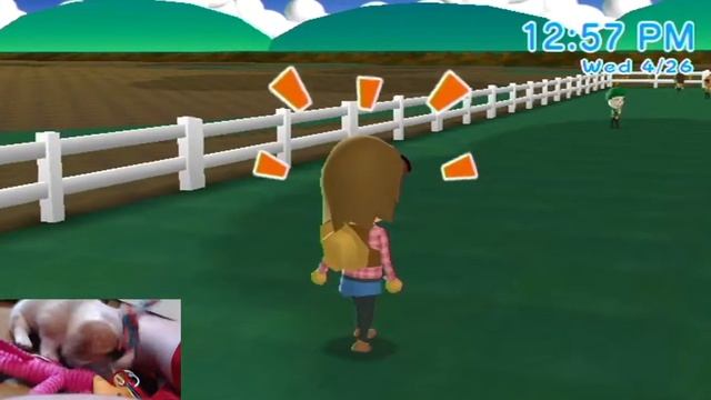 My Pokemon Ranch: Day 25 with PUPPY CAM смотреть онлайн