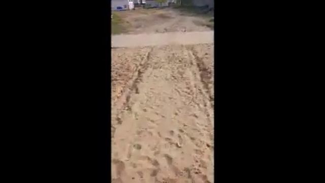 Дуракам бордюр не помеха! смотреть онлайн