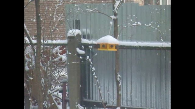 лет май пипл го смотреть онлайн