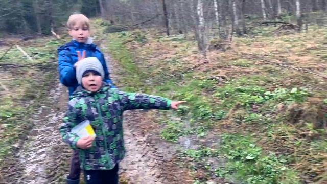 Саша и Вова решили заняться разведением лягушек смотреть онлайн