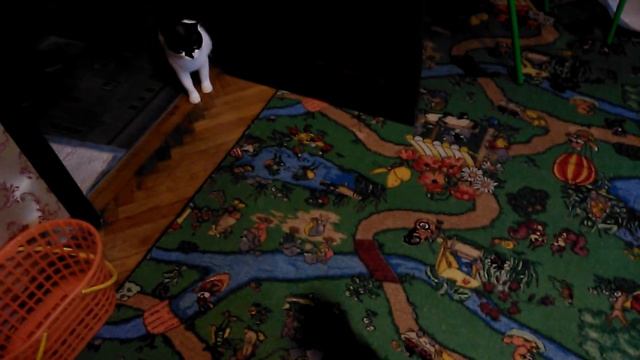 Для чего нужна собака? смотреть онлайн