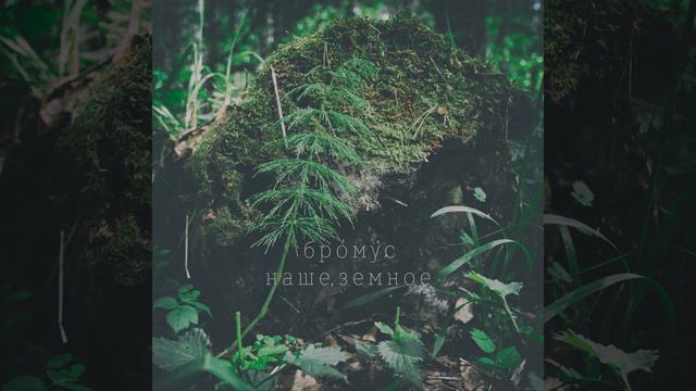 Жизнь идёт своим чередом