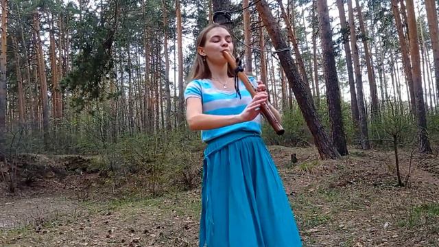 Immersion in the forest world | Relax music | Пимак смотреть онлайн