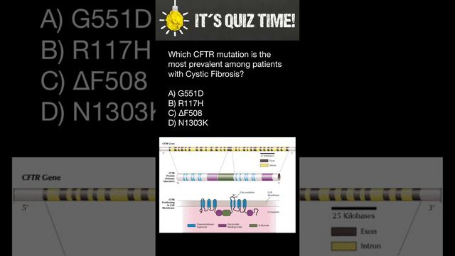 Which CFTR mutation is the most prevalent among patients with Cystic Fibrosis? смотреть онлайн