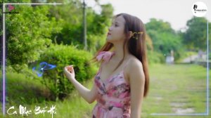 Nhạc Sống Gái Xinh 2000 KHÔNG QUẢNG CÁO🔴 Nhạc Sống Disco Hay Nhất 2024, Thư Giãn Ngày Dài