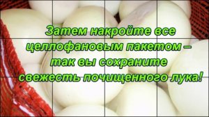 Как сохранить свежим почищенный лук?