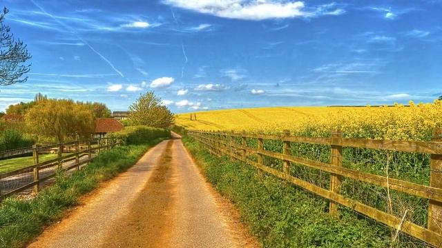 Роберт Адамс —77 Самый простой способ пробудиться смотреть онлайн