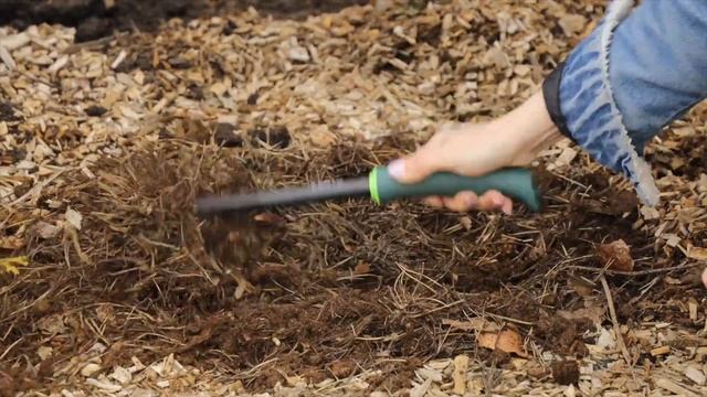 Выращиваем клюкву на садовом участке. Где клюква не сможет расти? смотреть онлайн