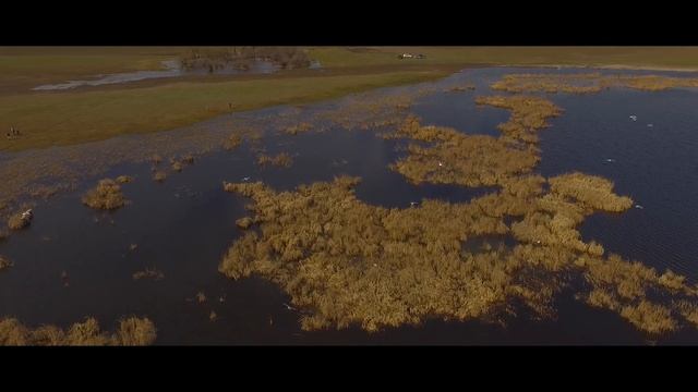 СНЯЛИ 99 ВИДОВ ПТИЦ ЗА ОДИН ДЕНЬ | The Hang