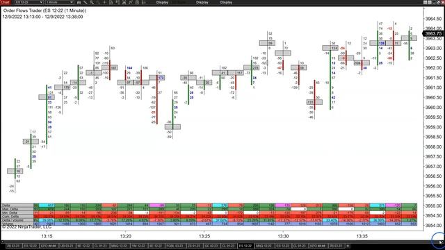 Delta Footprint Order Flow Charts How To Trade Orderflows Delta