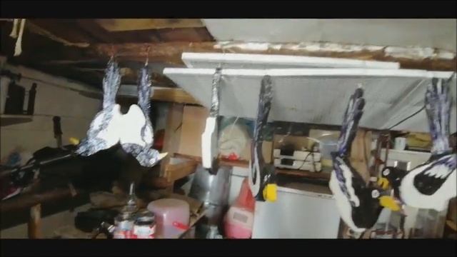 Как сделать птицу сороку. смотреть онлайн