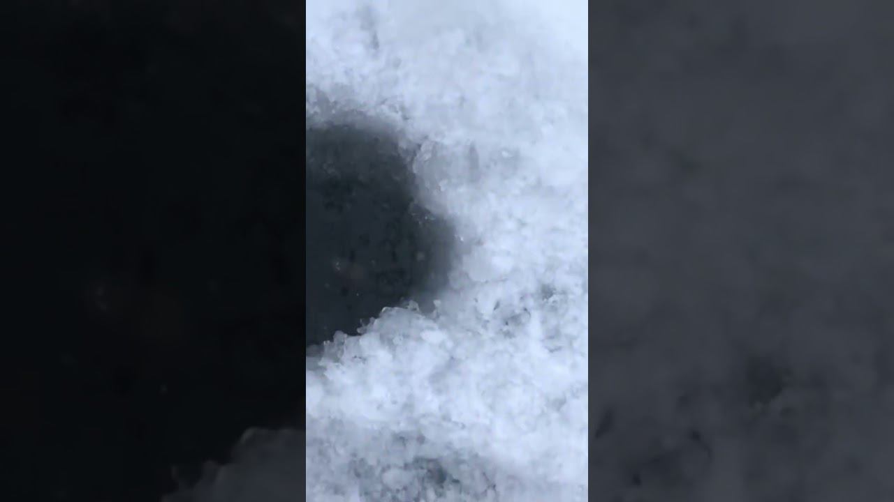 Поставка на ротана замерзла #ротан #первыйлёд #рыбалкакстово смотреть онлайн