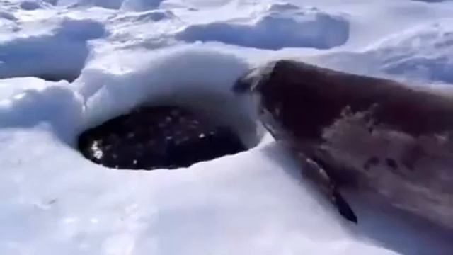 Нормально все Рыбачишь смотреть онлайн